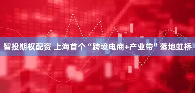 智投期权配资 上海首个“跨境电商+产业带”落地虹桥