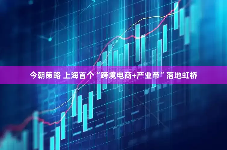 今朝策略 上海首个“跨境电商+产业带”落地虹桥