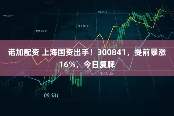 诺加配资 上海国资出手！300841，提前暴涨16%，今日复牌