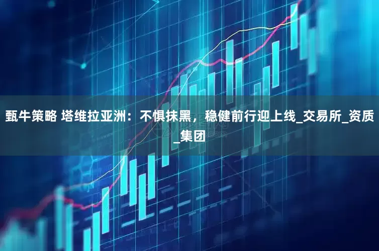 甄牛策略 塔维拉亚洲：不惧抹黑，稳健前行迎上线_交易所_资质_集团
